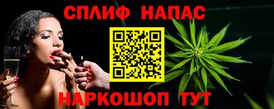 крисы Партизанск