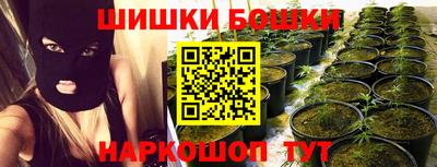 крисы Партизанск